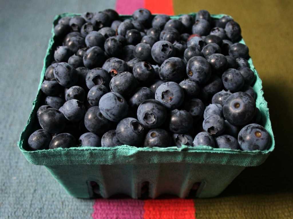 Черника голубика вкус. Черника и голубика. Черника и голубика отличия. Черника и голубика разница. Голубика голубика черника разница.