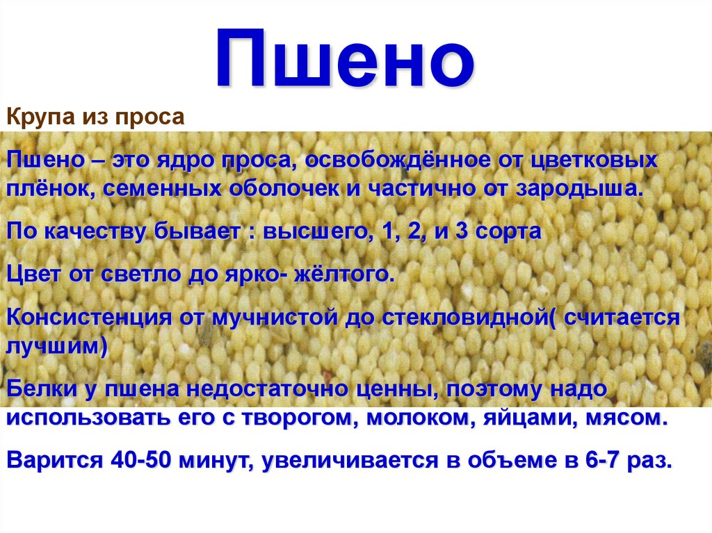 Пшено что это за крупа. Презентация пшено. Пшено заключение о качестве. Основные специализации пшена.