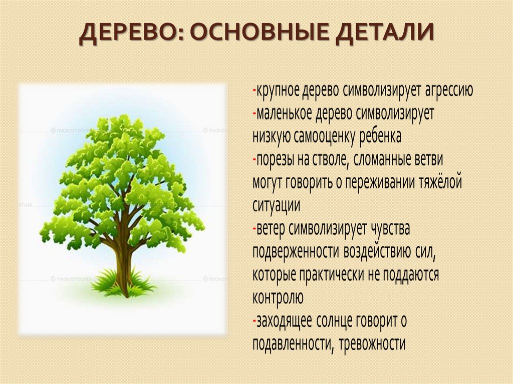 Дерево личности. Методика дом дерево человек. Методика исследования личности « дом - дерево - человек. Польза деревьев для человека.
