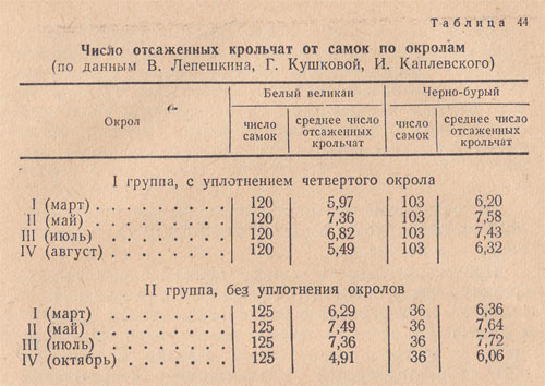 В каком возрасте отсаживают крольчат от крольчихи. Таблица о спаривание кроликов. Плодовитость кроликов по породам таблица. Календарь окрола кроликов. Возраст отсадки молодняка кроликов.