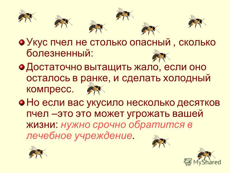 Что делать если укусила. Что сделать при укусе пчелы. Давление пчелы при укусе. Что сделать есть ужалила пчела.