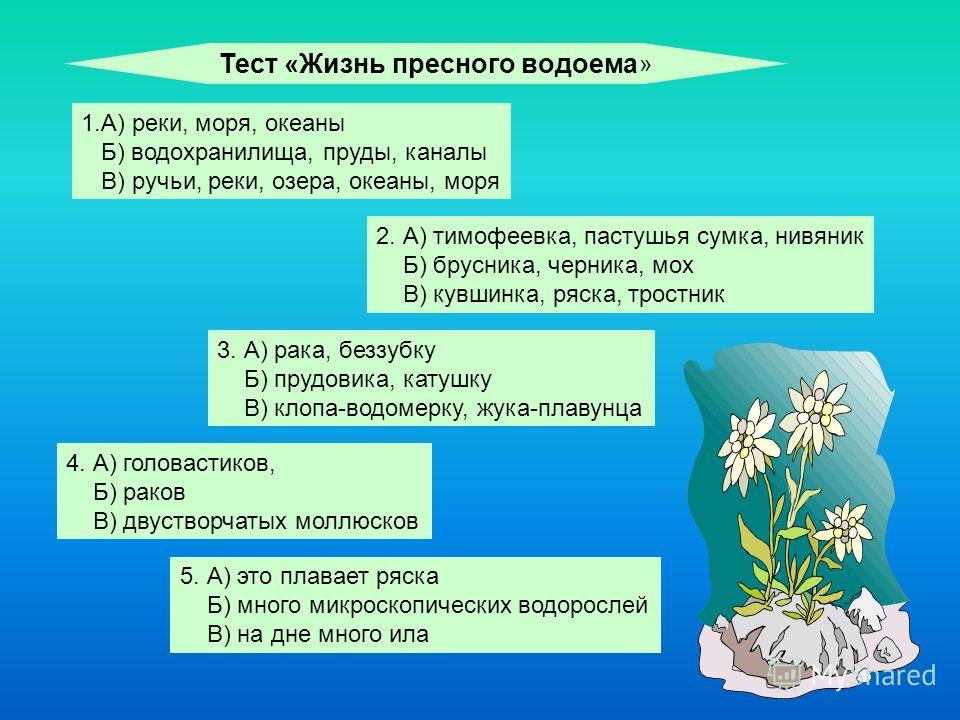 Тест по теме водоемы 4 класс