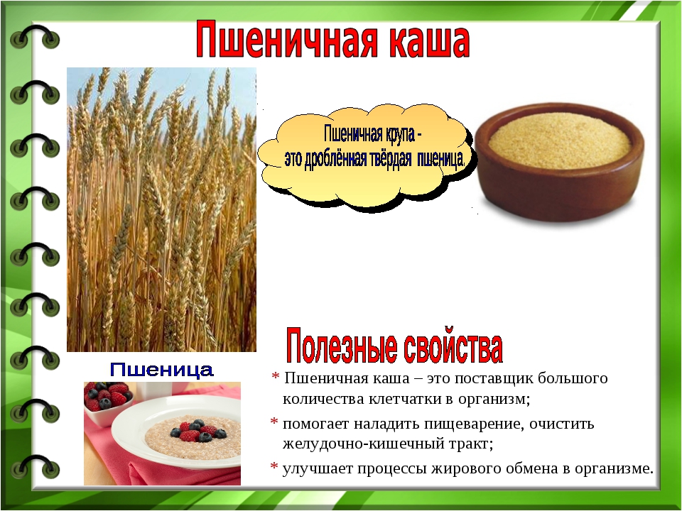 Вред злаковых. Полезные свойства пшеничной крупы для организма человека. Полезная пшеничная каша. Пшеничная каша польза. Чем полезна пшеничная крупа.