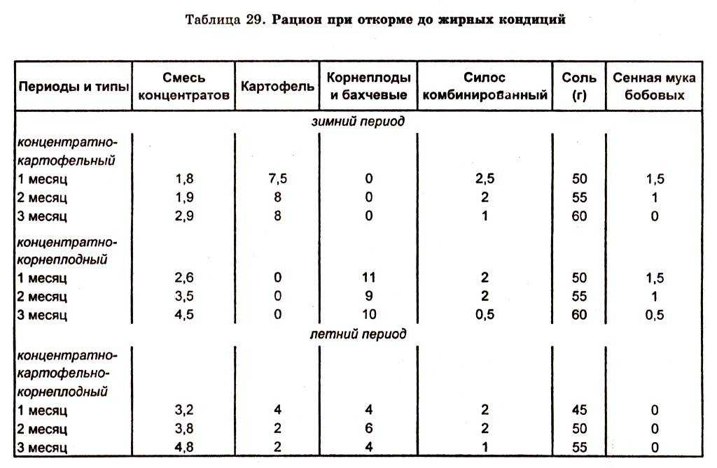 Рацион супоросных свиноматок