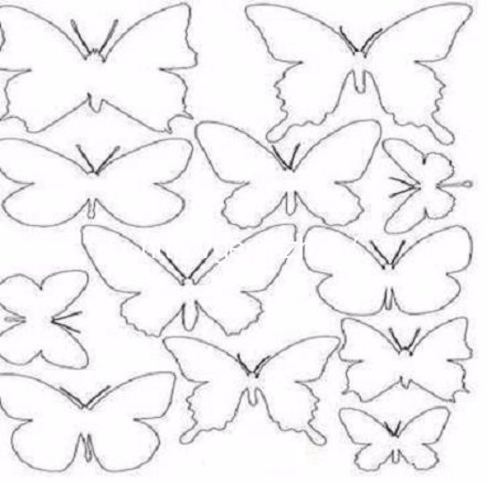 Трафарет бабочка для вырезания из бумаги распечатать: Бабочки для .