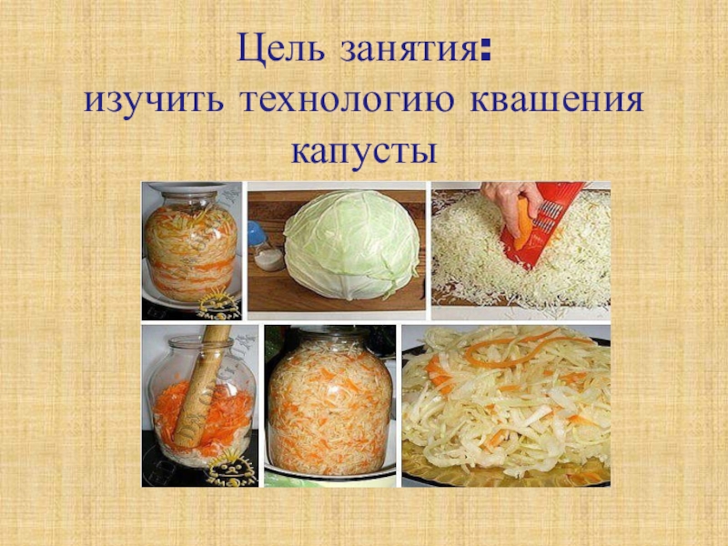 Пропорция капуста. Этапы квашения капусты. Технология квашения капусты. Технология приготовления квашеной капусты. Капуста квашеная. Технология квашения.