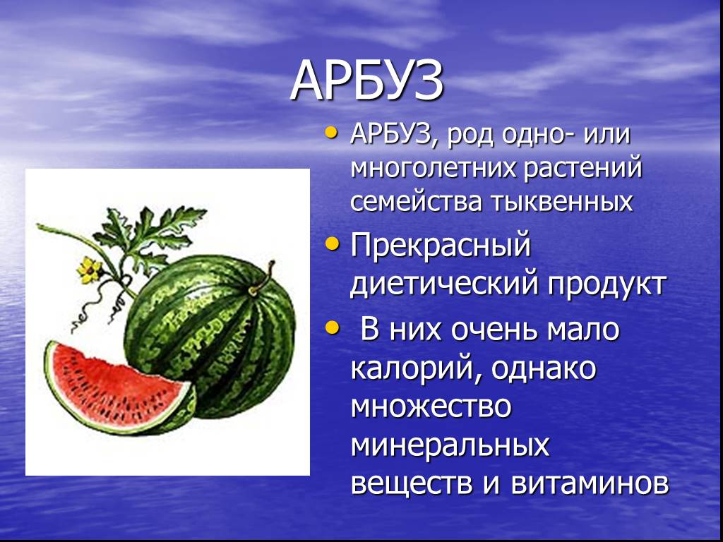 Растение пришедшее из дальних стран. Арбуз семейство тыквенных. Культурные растения Арбуз. Рассказ про Арбуз. Семейство тыквенные презентация.