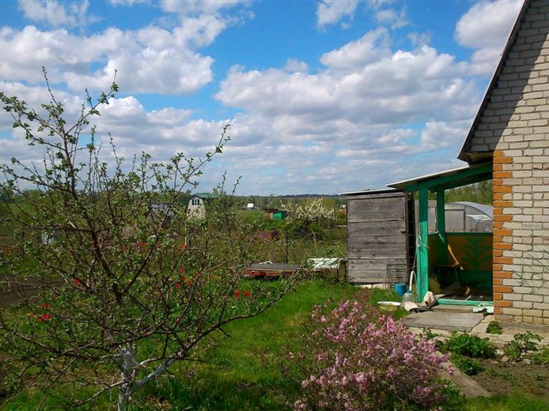 Купить Дачу В Снт Трансмашевец Барнаул