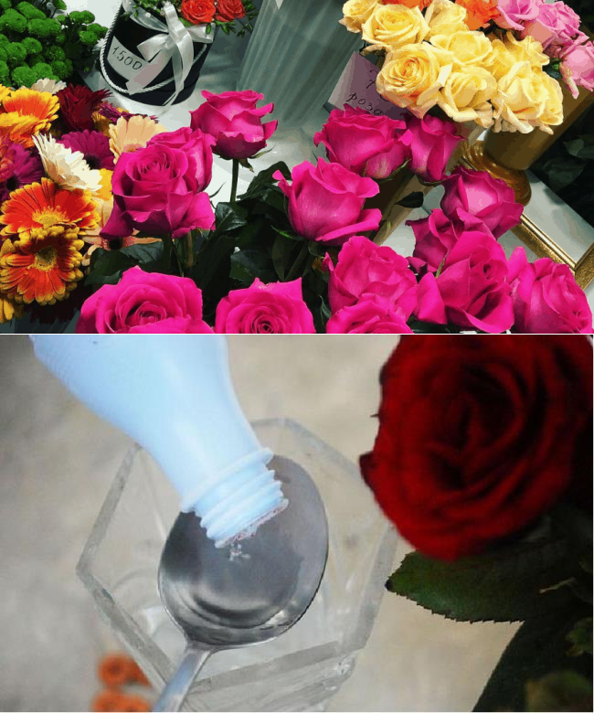 Как сохранить срезанные розы в домашних условиях