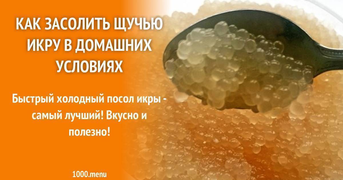 Рецепт засолки щучьей икры. Посолить щучью икру в домашних. Как засолить щучью икру в домашних условиях вкусно и быстро. Солим щучью икру в домашних условиях. Как правильно посолить щучью икру в домашних условиях.