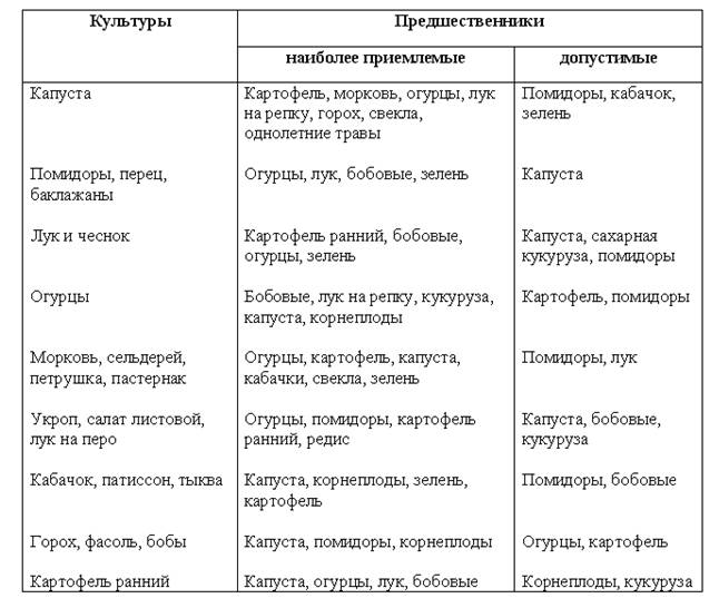 Предшественник это