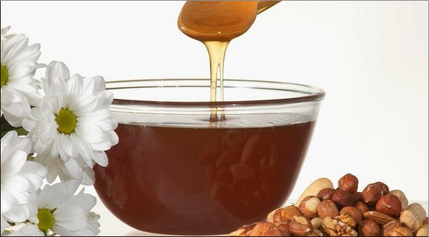 Польза и вред меда с орехами + 3 лучших рецепта заготовки