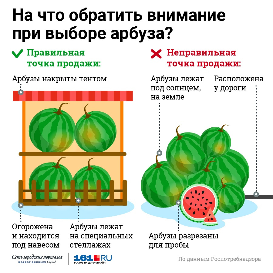 Какой звук у спелого арбуза. Как выбрать Арбуз. Как выбрать сладкий Арбуз. Как правильно выбрать Арбуз. Как выбирать Арбуз правильно сладкий.