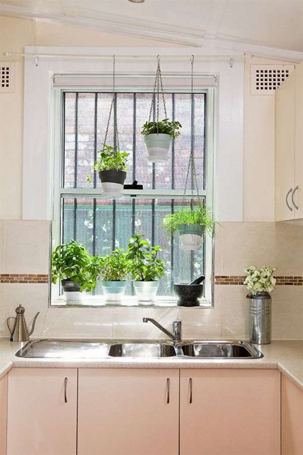 растения в интерьере кухни, фото 34