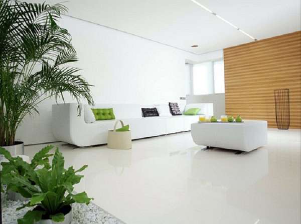 комнатные растения в интерьере квартиры, фото 4