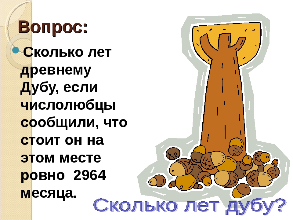 Сколько лет дубу высотой 6 м. Сколько лет дубу. Сколько лет стоит дуб. Сколько лет вопрос. Сколько лет было дубу.