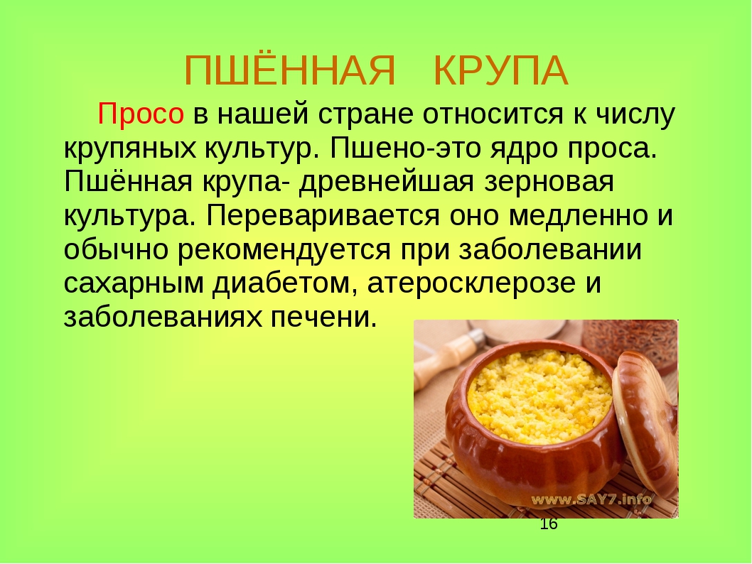 Краткое содержание каш. Сообщение про пшенную кашу. Пшенная крупа. Информация о пшенной каше. Описание каши.