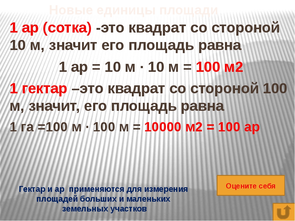 Сколько соток в 1 гектаре. Что такое гектар в математике. Единица измерения сотка сколько это. Единицы измерения арах 5 класс. Меры площади 5 класс.