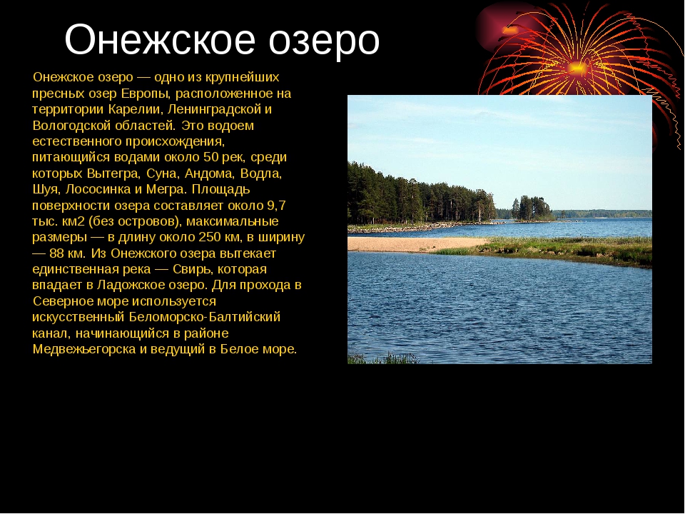 1 любое озеро. Водоемы Ленинградской области окружающий мир. Озера Вологодской области. Онежское озеро характеристика. Сообщение о водоемах.