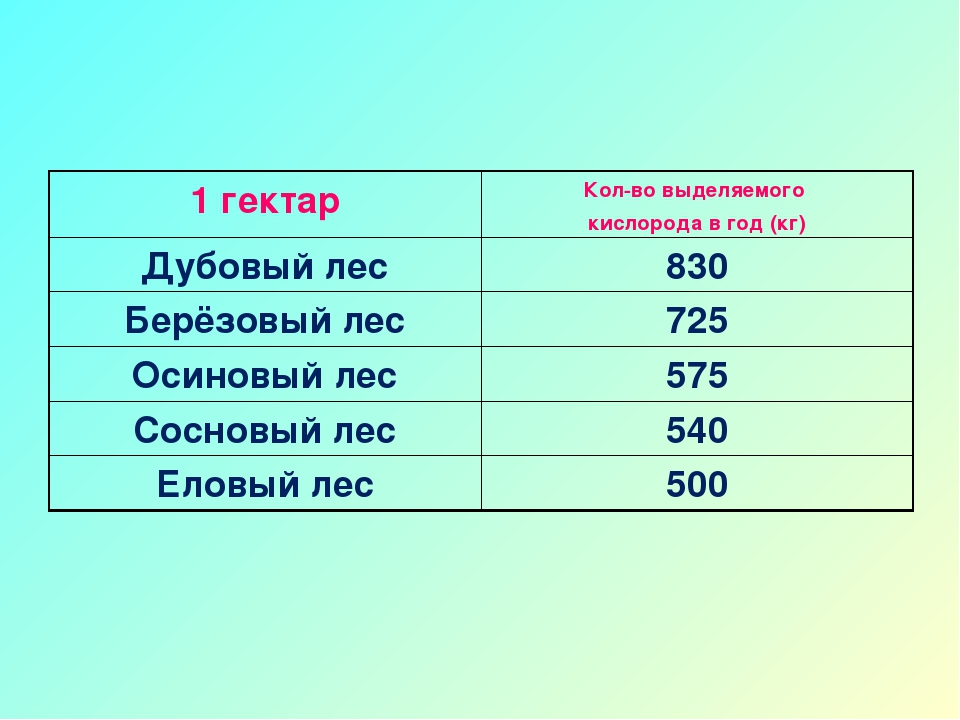 1 га. Сколько стоит гектар леса. 1 Гектар. Количество древесины на 1 га. Количество леса на 1 га.