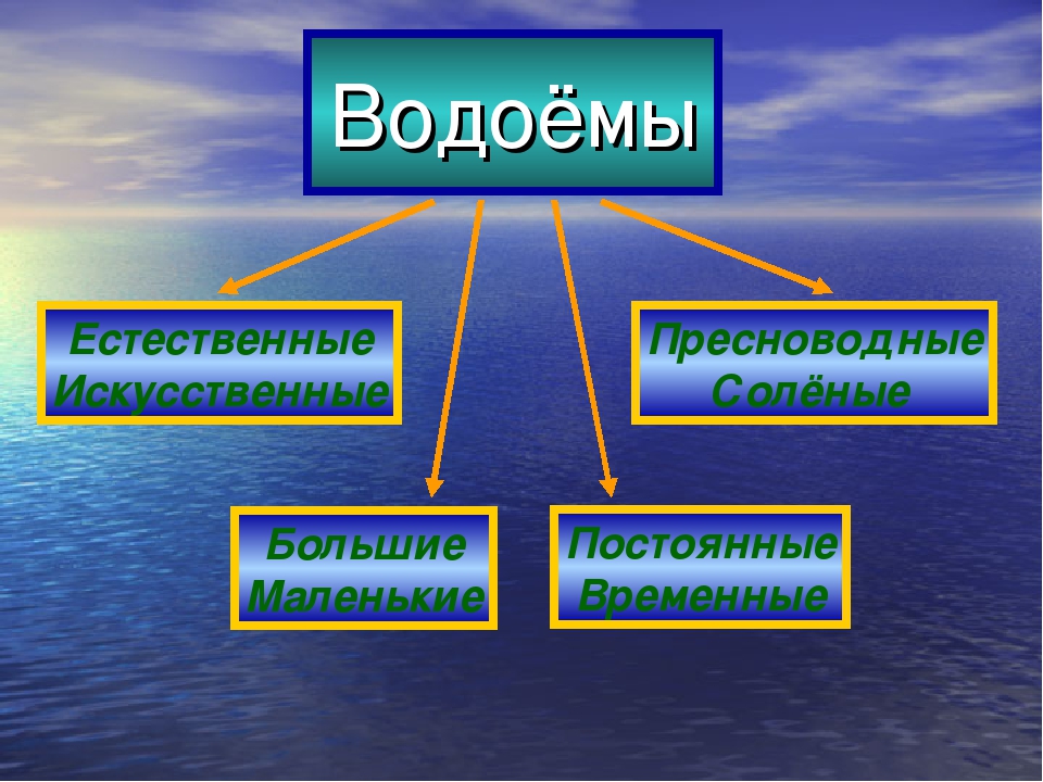 Сообщение о водоемах. Водоемы окружающий мир. Искусственные пресные водоемы. Презентация про водоемы 3 класс. Что такое водоём 3 класс.