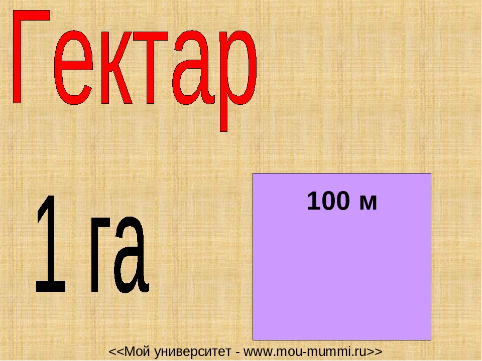 Ар и гектар презентация