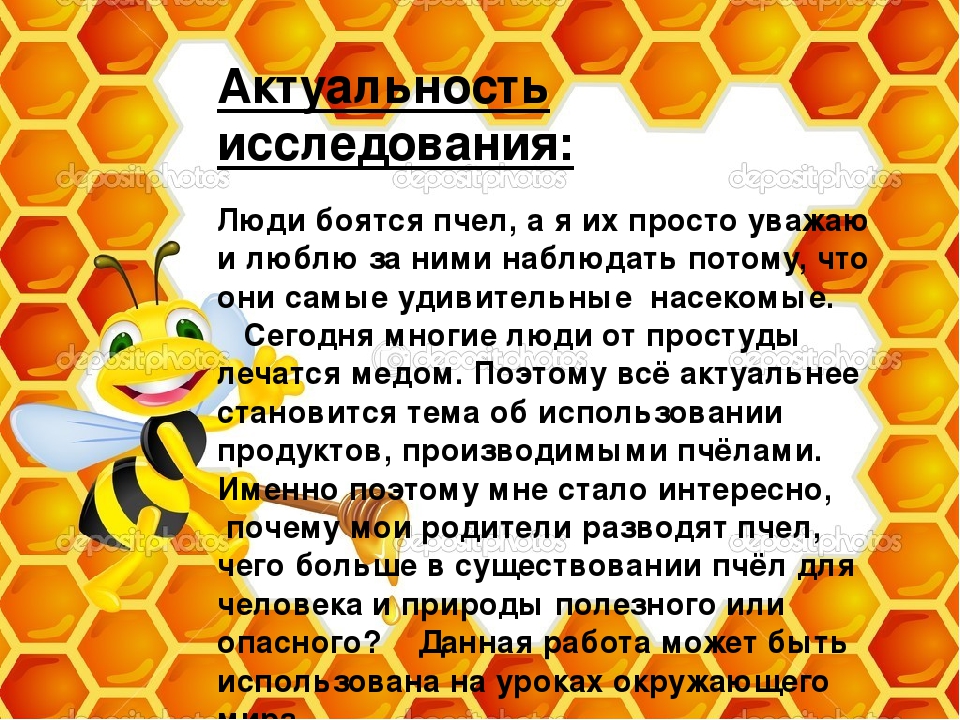 Текст и выполни задания пчелы. Тема пчел для презентации. Проект про пчел для детей. Проект на тему пчелы. О пчелах детям интересно.