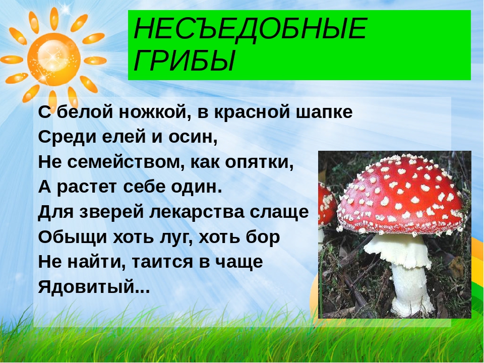 3 несъедобных гриба. Несъедобные грибы презентация. Съедобные и несъедобные грибы презентация. Съедобные и ядовитые грибы презентация. Сообщение о съедобных и несъедобных грибах.