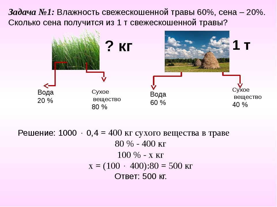 15 кг сена. Влажность свежескошенной травы. Один гектар. Задачи на влагу. Определение влажности сена.
