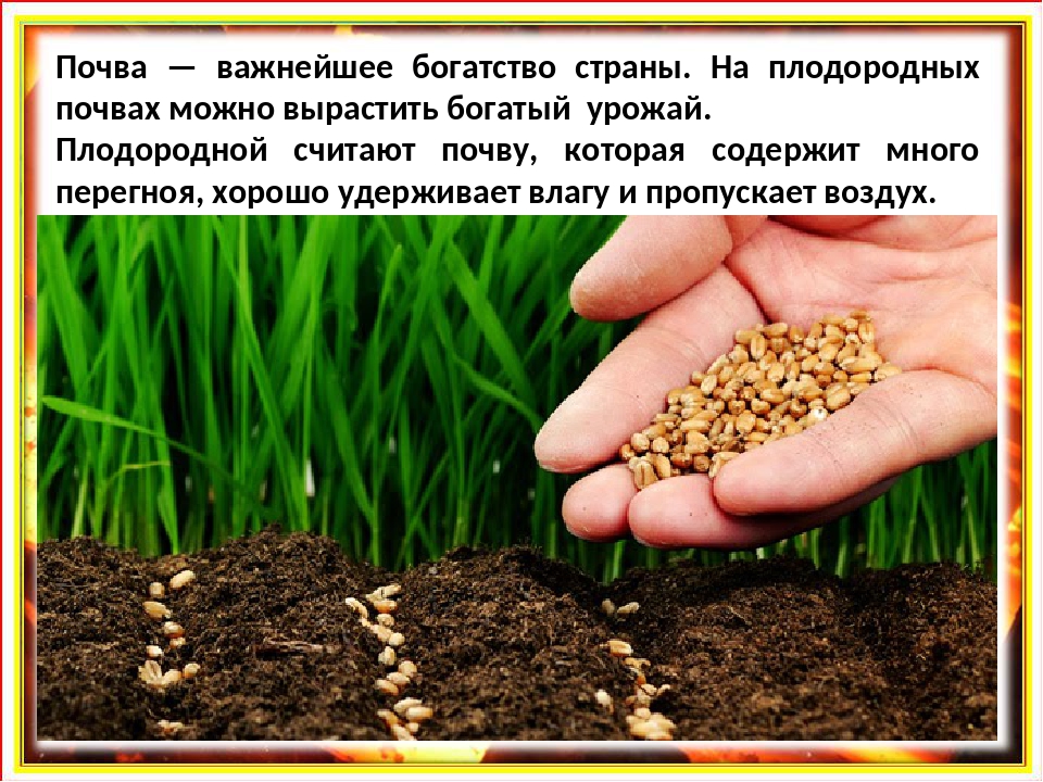 Плодородие почв при движении к полюсам. Роль почвы в природе. Роль почвы для человека. Роль почвы в жизни человека. Значение почвы.