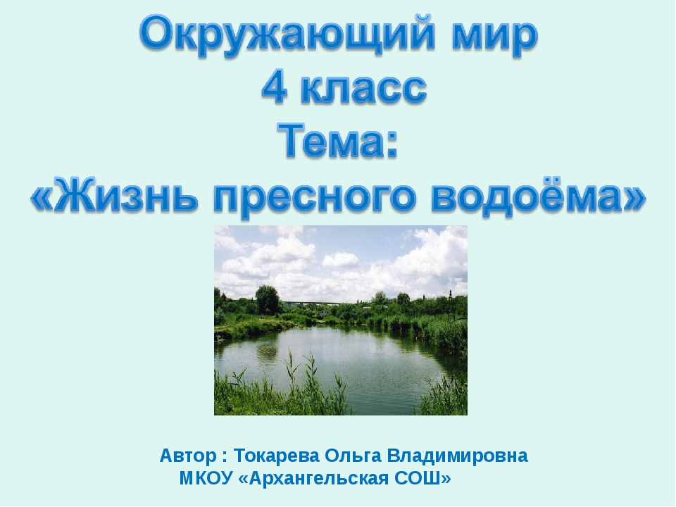 Проект по окружающему 4 класс. Окружающий мир жизнь в пресных водоемах. Жизнь в пресных водоемах 4 класс окружающий мир. Пресные водоёмы 4 класс презентация. Водоемы 4 класс окружающий мир.