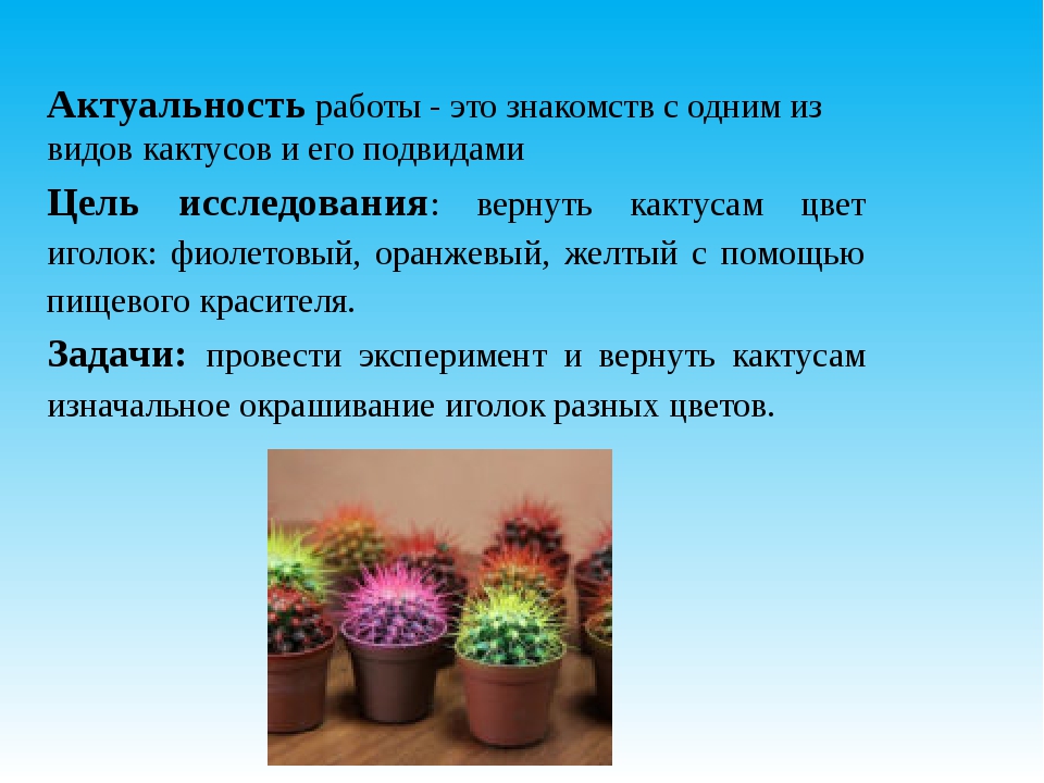 Восстанови последовательность плана текста как кактусы обходятся без воды