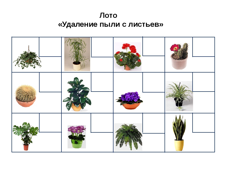 Детские картинки комнатные растения