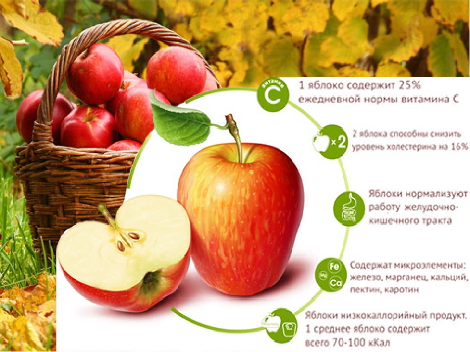 Можно есть яблоки на голодный желудок. Польза яблок. Полезные качества яблока. Витамины в яблоке. Польза яблок картинки.
