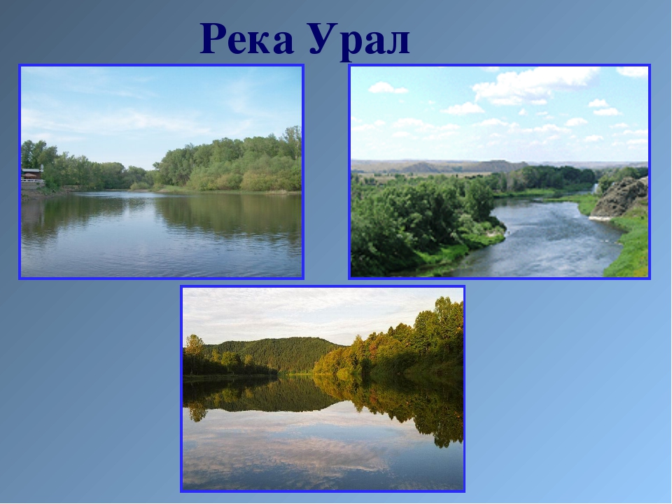 В твоей местности. Водоемы и их разнообразие. Название водоемов. Водоемы России названия. Проект водоемы нашего края.