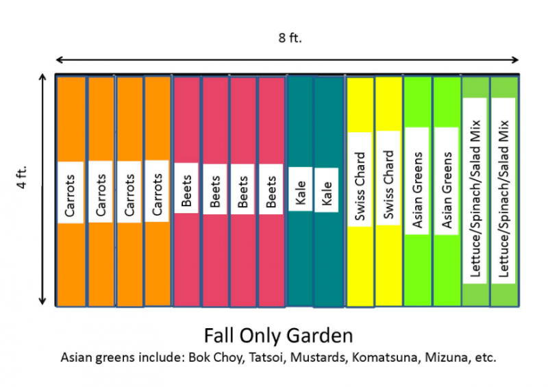 Fall vegetable garden layout