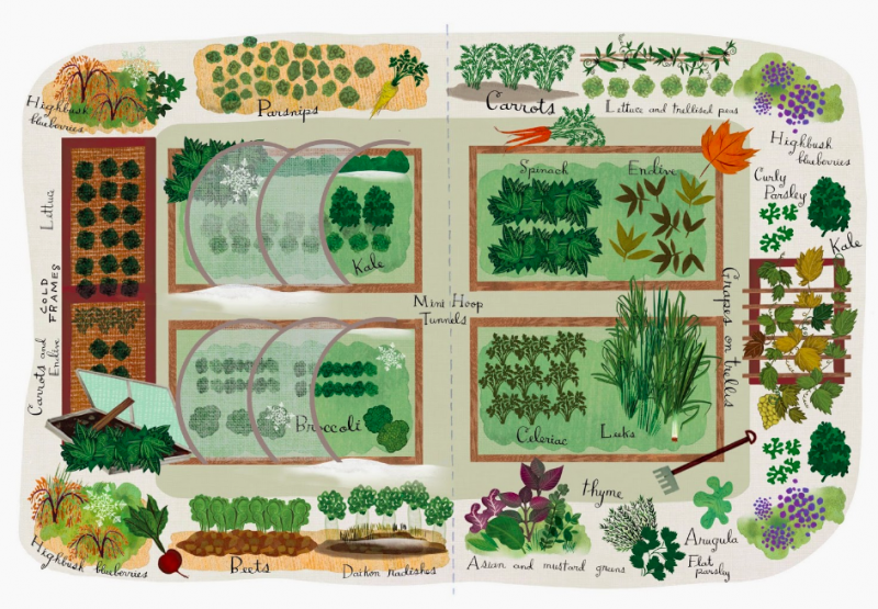 Year-round vegetable garden layout