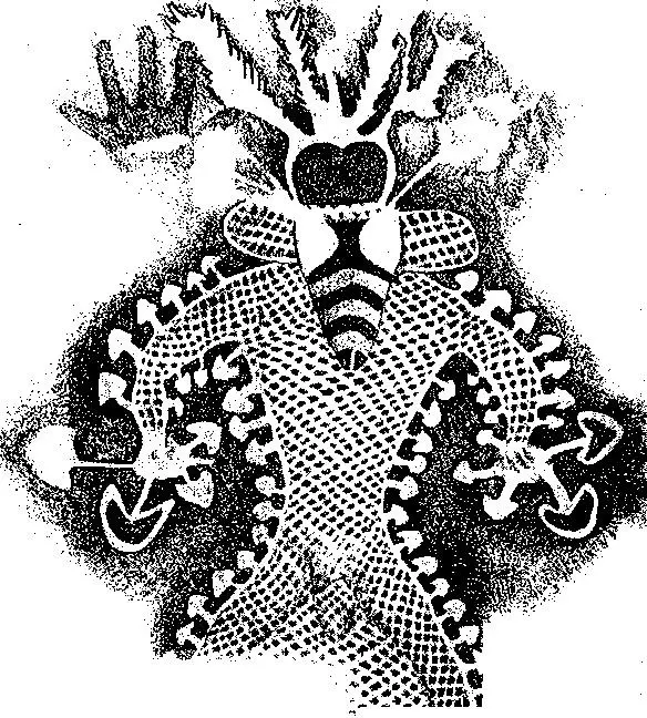 Псилоцибиновый гриб в России – запрещённый ключ к таинствам Вселенной