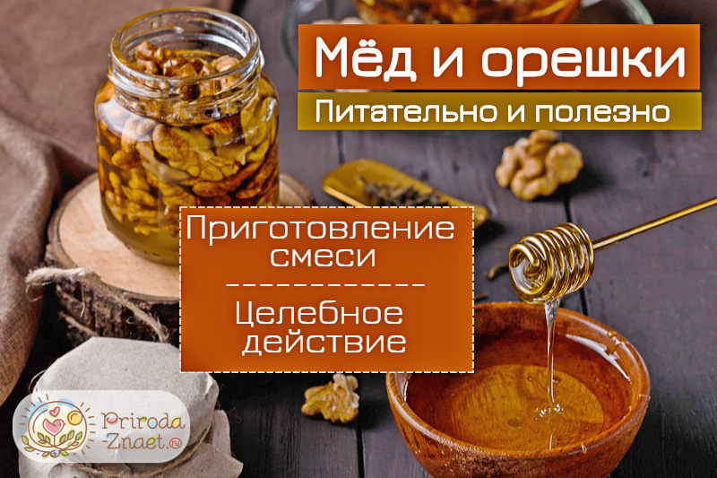 Мед с орехами для мужчин рецепт