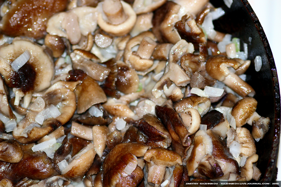 Сколько жарить грибы на сковороде по времени. Обабки грибы жареные. Грибы подберезовики жареные. Грибы жареные с луком. Подберезовик приготовление.