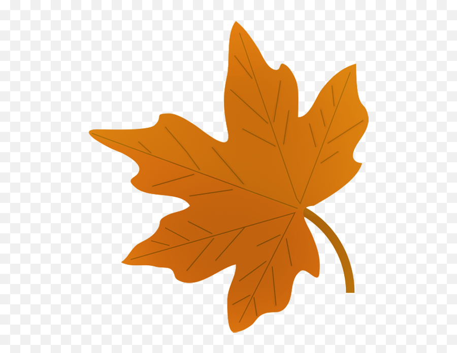 Лист рисунок цветной. Листочки деревьев. Осенние листья картинки. Осенние листья рисунок. Кленовый лист.