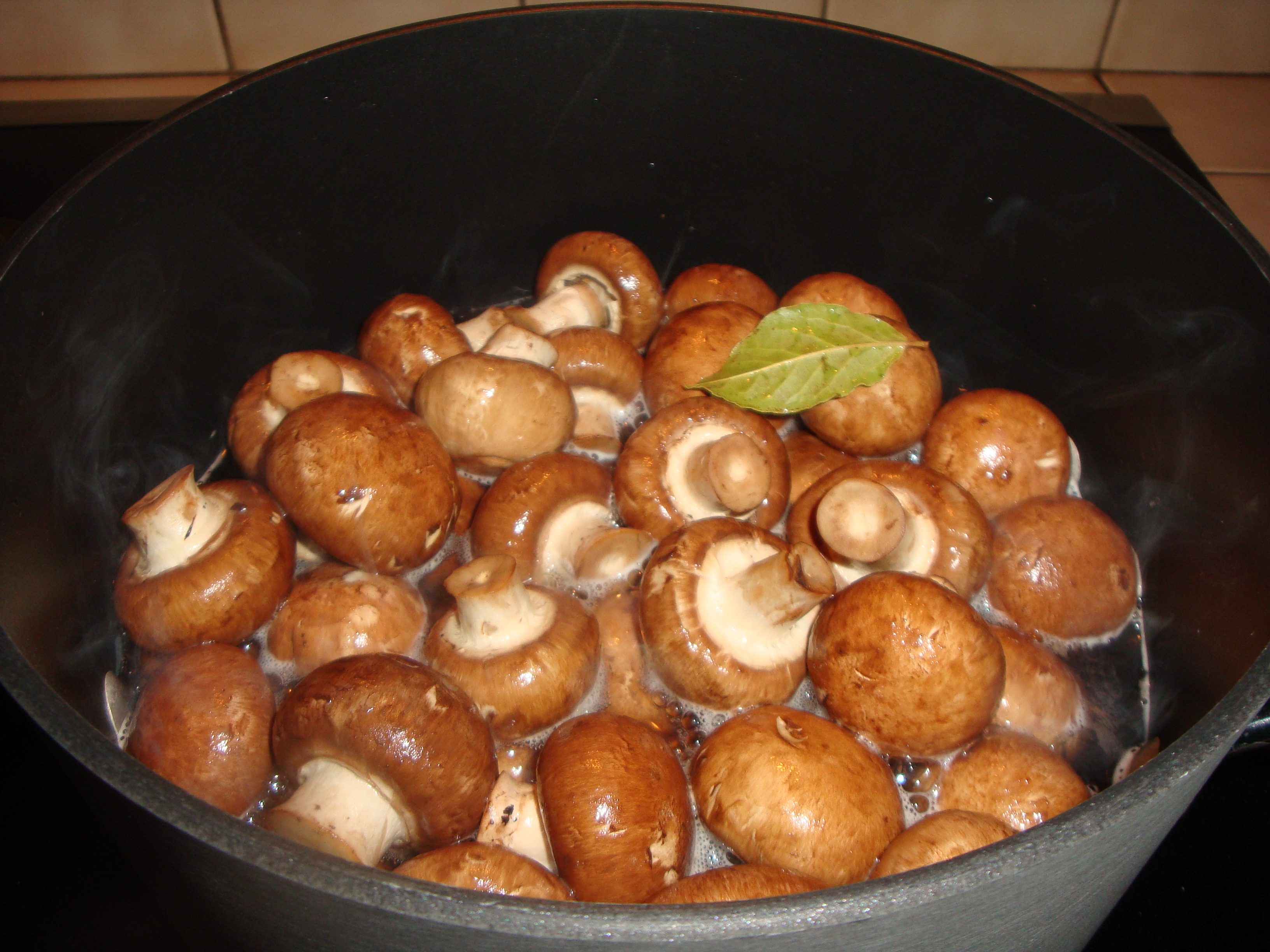 Как готовить грибы домашние