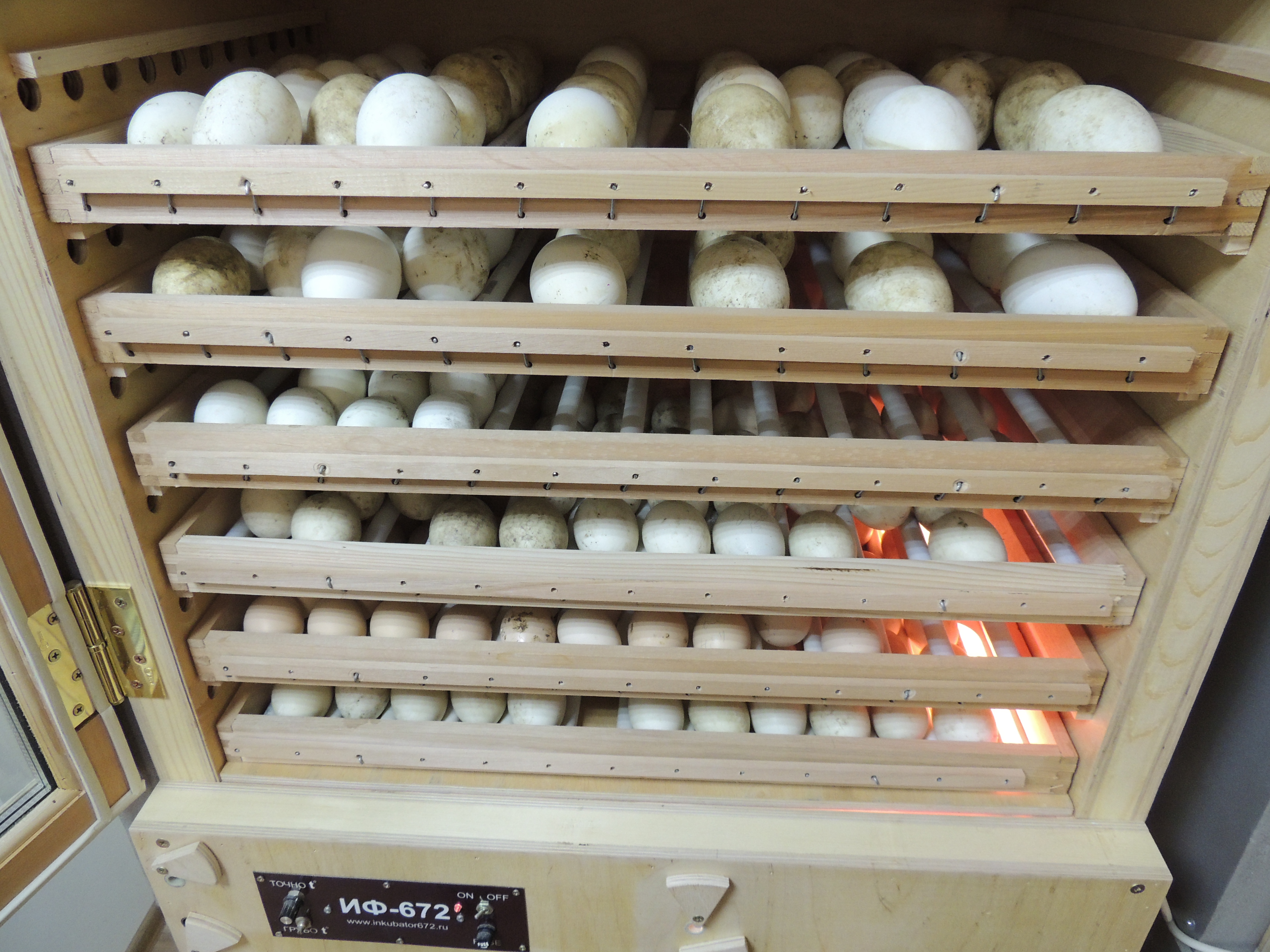 Купить инкубаторы кур. Инкубатор ИФ 672. Несушка инкубатор на 300 яиц. Инкубатор Несушка 70 яиц. Инкубатор для водоплавающей птицы.