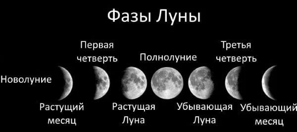 Как определить Фазы Луны