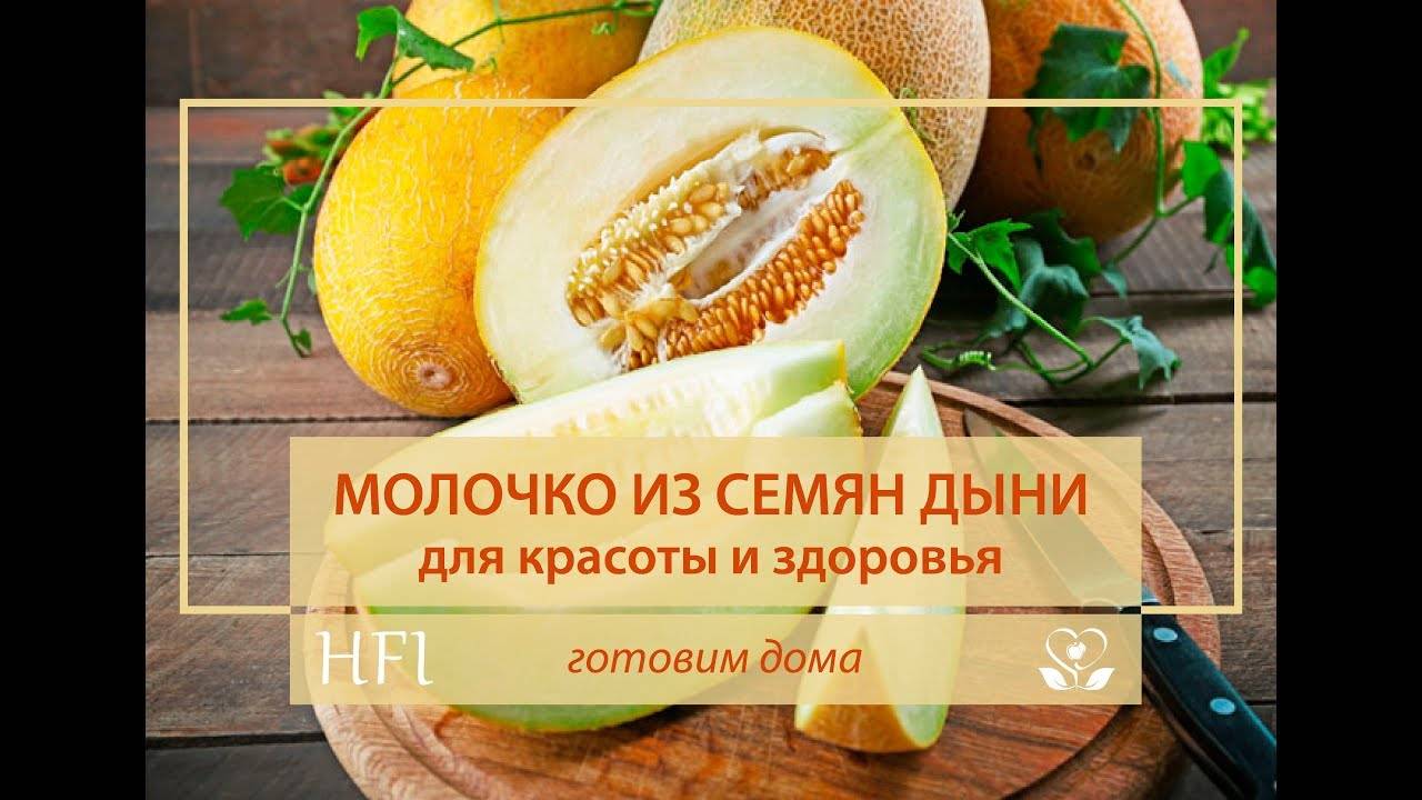 Польза семечек дыни для организма. Дыня для почек. Дыня из семян. Семена дыни польза для здоровья. Семечки из дыни.