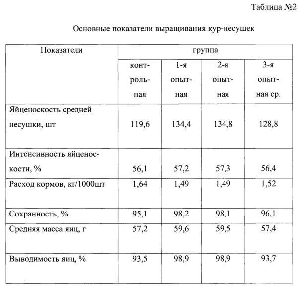 Бройлер в месяц фото как выглядит