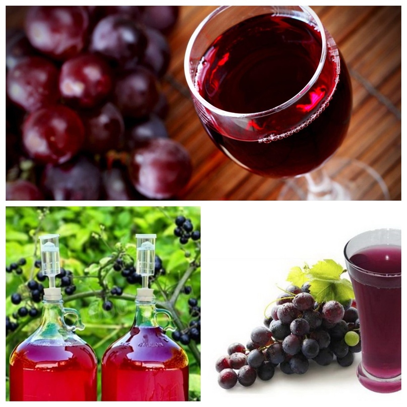 Виноградный сок в домашних условиях рецепт. Домашнее вино из винограда. Виноградный сок домашний. Сок из винограда. СЛК винаградный домашний.