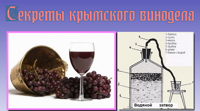 Виноградное вино сканворд. Процесс приготовления домашнего вина. Изготовление вина. Процесс приготовления вина из винограда. Виноградное вино в домашних.