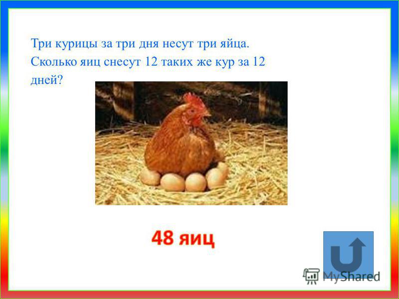 Куры несушки сколько несут яйца. Скольео курица несёт яиц. Сколько яиц несет курица в день. Яйца кур несушек. Сколько яиц несет курица в год.