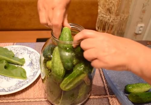 Вкусные соленые огурцы на зиму рецепты. Хрустящие соленые огурцы холодным способом. Рецепт на 3 литровую банку